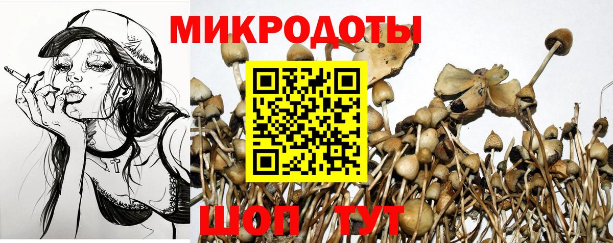 Октябрьский  Псилоцибиновые грибы GOLDEN TEACHER  Галлюциногенные грибы Cubensis  Вход с VPN 