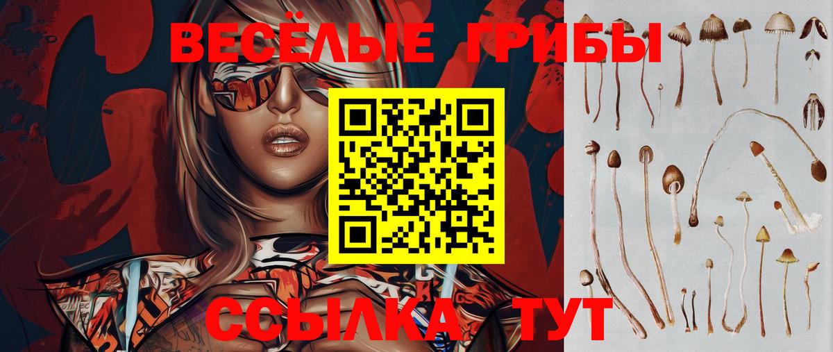Псилоцибиновые грибы ЛСД Октябрьский